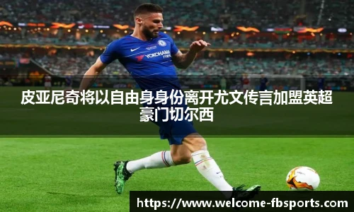 FB体育官网