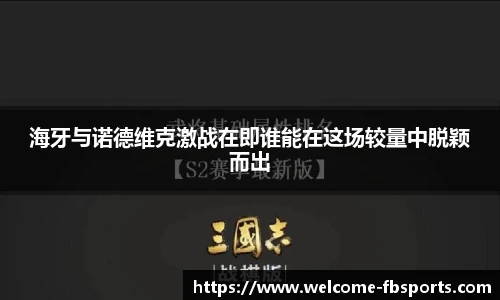 海牙与诺德维克激战在即谁能在这场较量中脱颖而出