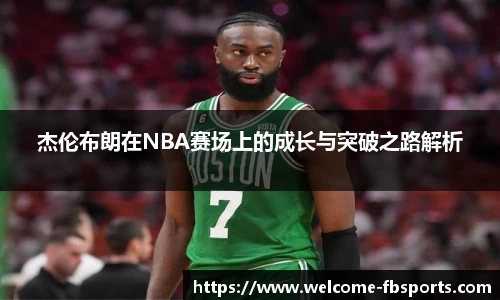 FB体育官网